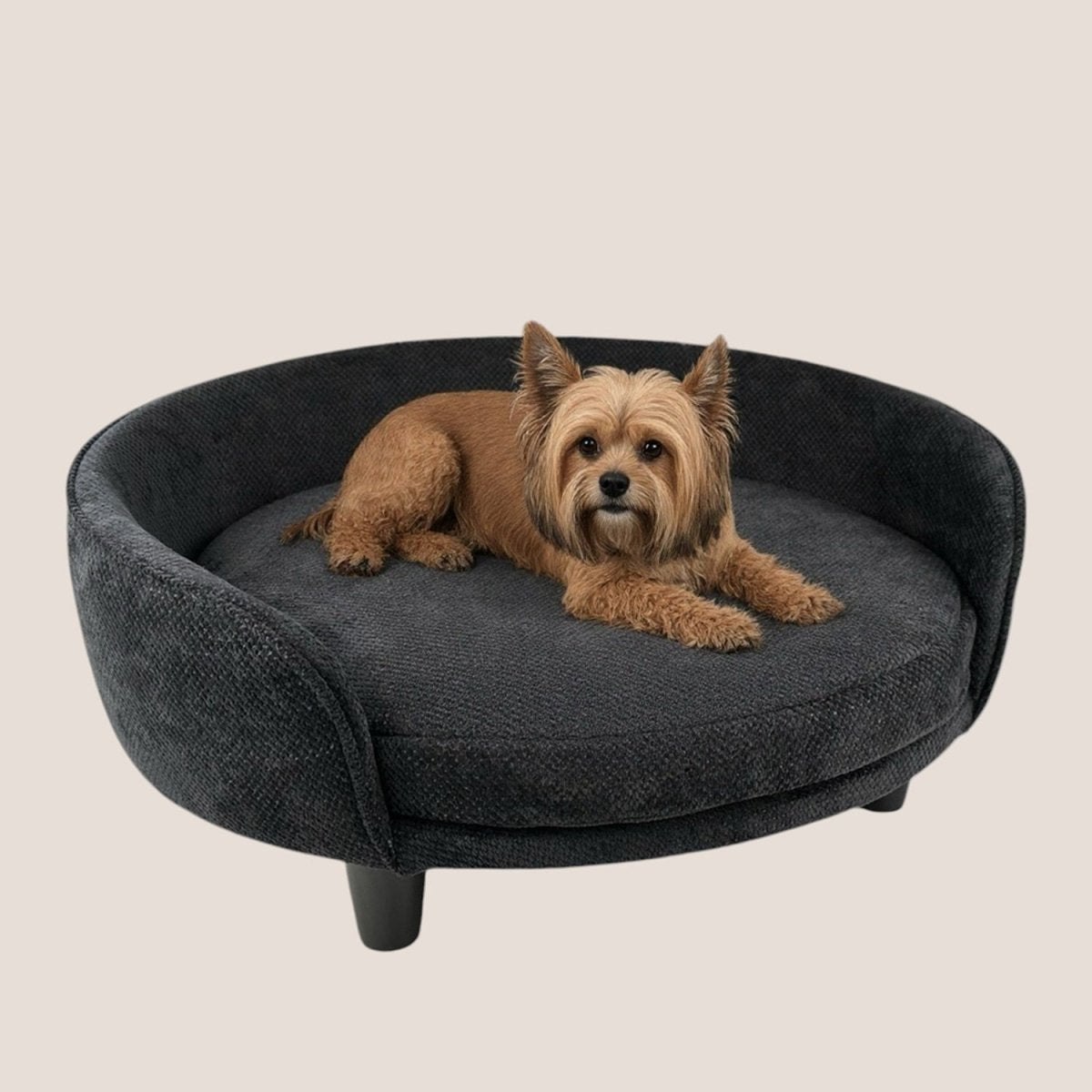 MIA Orthopädisches Haustierbett für Hund und Katze – Glory Kollektion –  Pet's Heaven