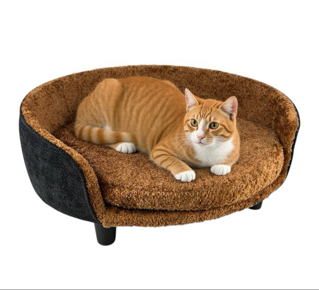 Slider cat dog_2