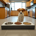 Load image into Gallery viewer, Pet Bowl – Plywood with Egger Coating: White | Black

