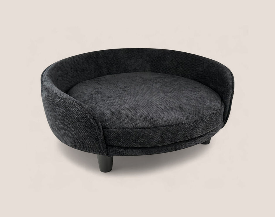 Black dog bed banner_2