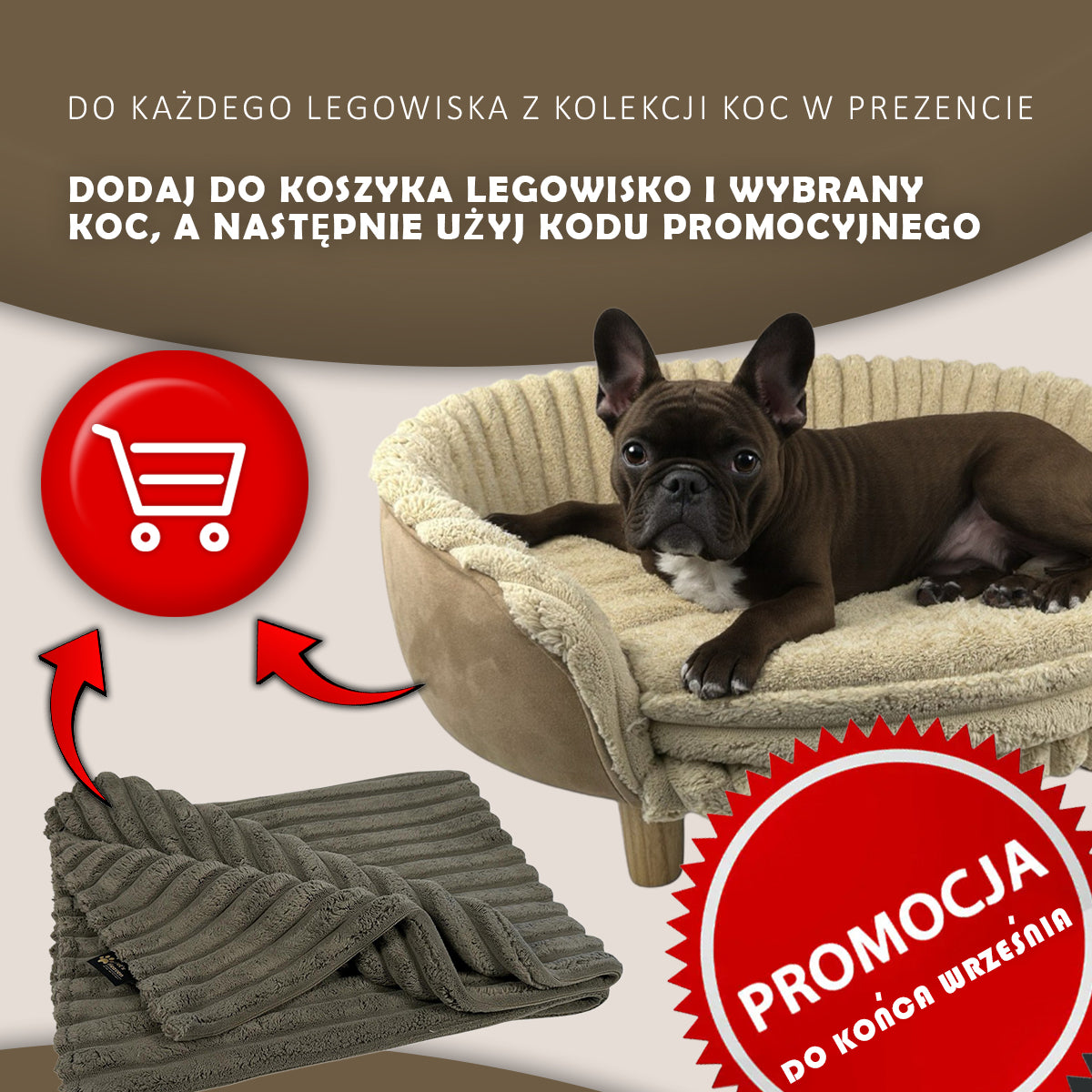 MIA Orthopedic Pet Bed for Dog and Cat – Ambience Premium Collection
