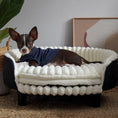 Load image into Gallery viewer, MIA Orthopedic Pet Bed for Dog and Cat – Ambience Premium Collection
