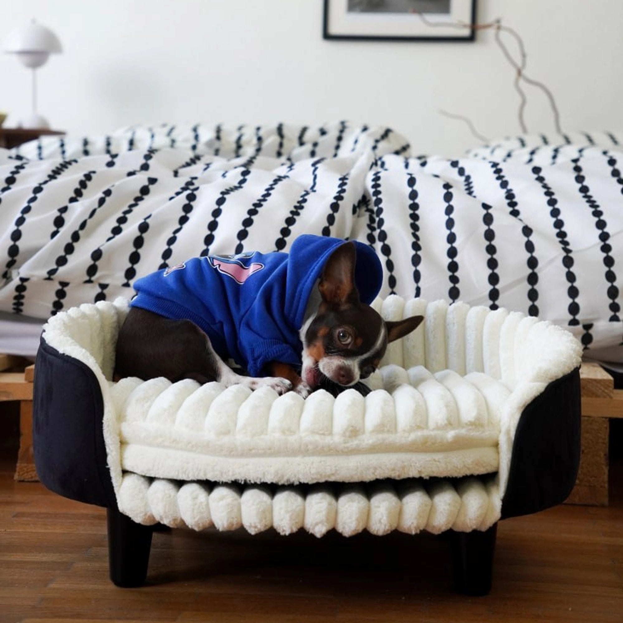 MIA Orthopedic Pet Bed for Dog and Cat – Ambience Premium Collection