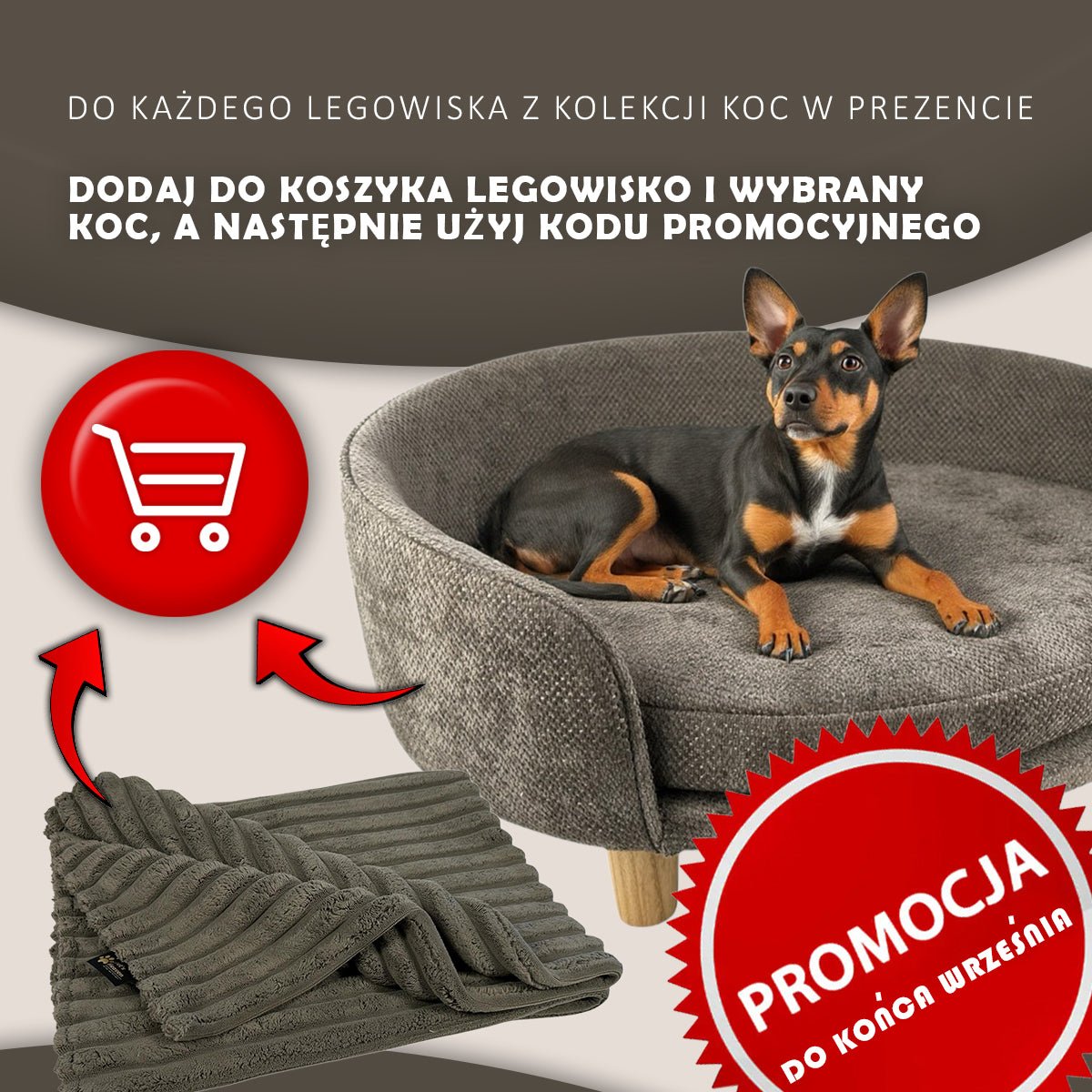 MIA Orthopedic Pet Bed for Dog and Cat - Glory Collection