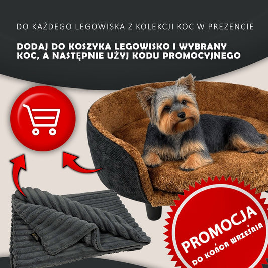 MIA Orthopedic Pet Bed for Dog and Cat - Euphoria Collection