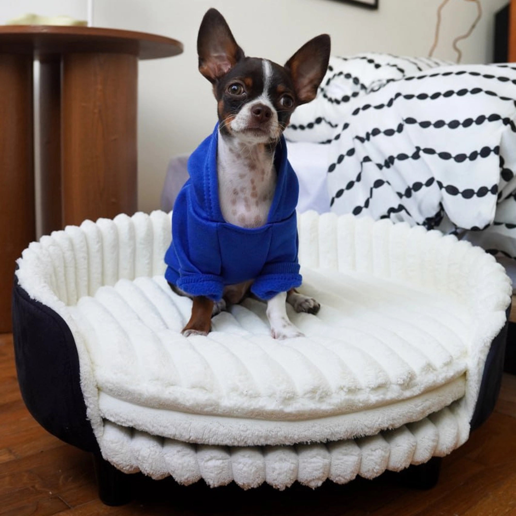 MIA Orthopedic Pet Bed for Dog and Cat – Ambience Premium Collection