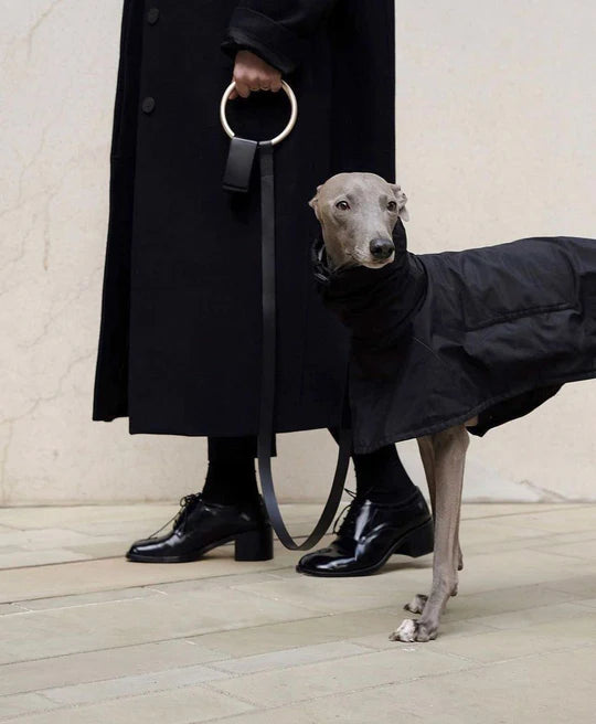 Leash banner
